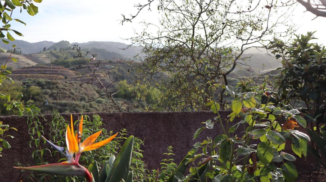 Casa Rural En San Mateo Лас Палмас де Гран Канария Екстериор снимка