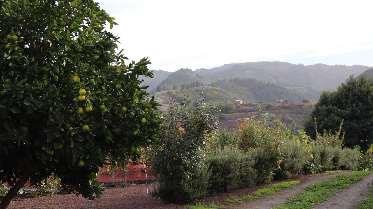 Casa Rural En San Mateo Лас Палмас де Гран Канария Екстериор снимка