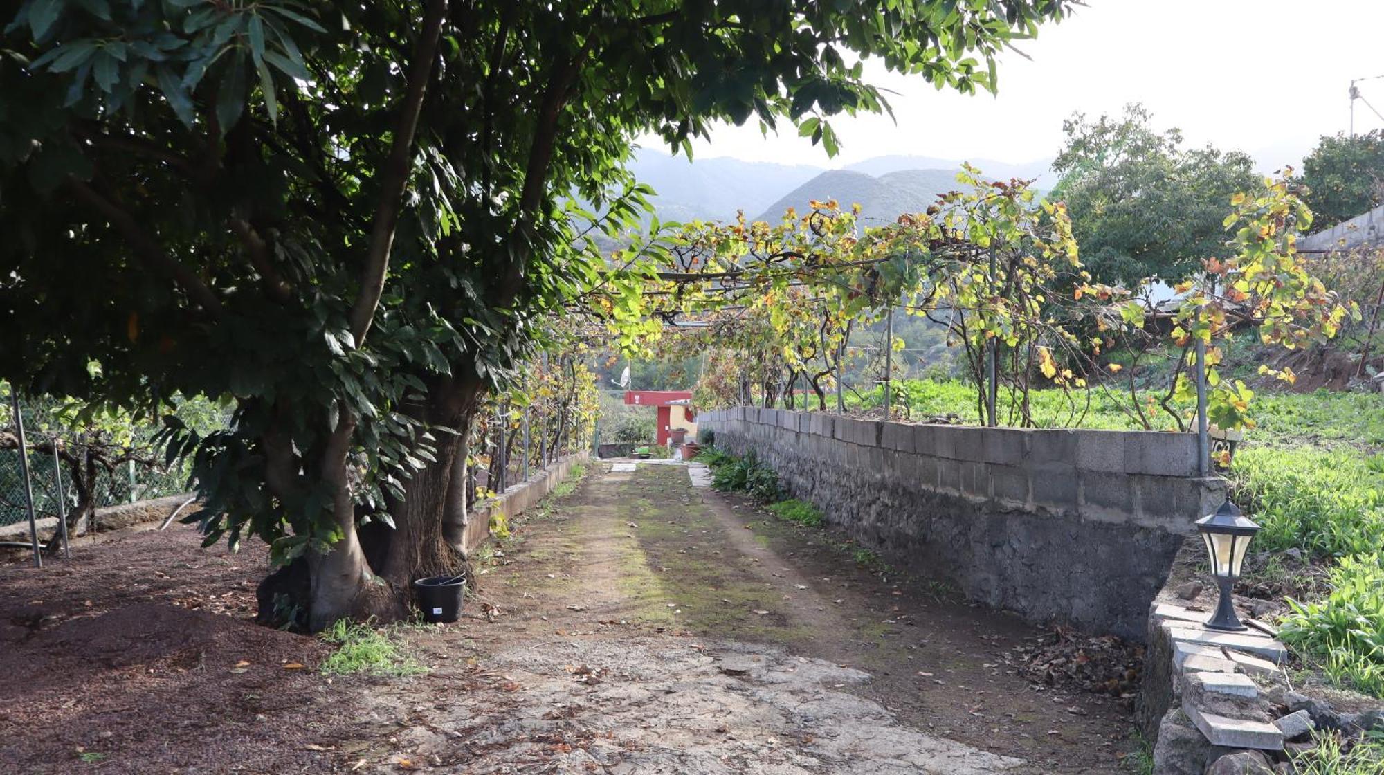 Casa Rural En San Mateo Лас Палмас де Гран Канария Екстериор снимка
